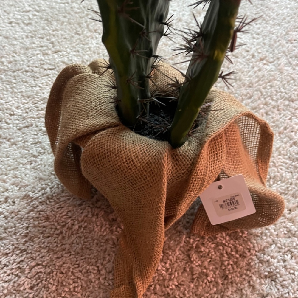 POTTERY BARN Faux Potted Opuntia Cactus Large - Picture 4 of 4